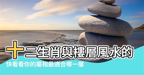 屬鼠方位|屬鼠最佳住房樓層和風水方位